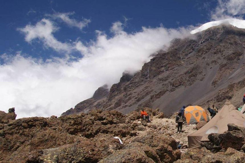 8-tägiges Kilimandscharo-Abenteuer (Machame-Route)