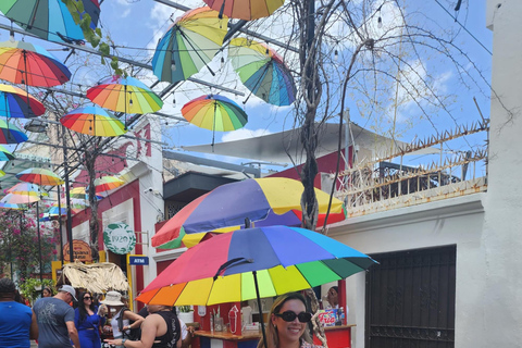 Puerto Plata: apentour, fort en historisch centrumPuerto Plata: Tour langs apen, fort en historisch centrum