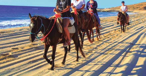 Beach UTV & Horseback Riding COMBO in Cabo by Cactus Tours