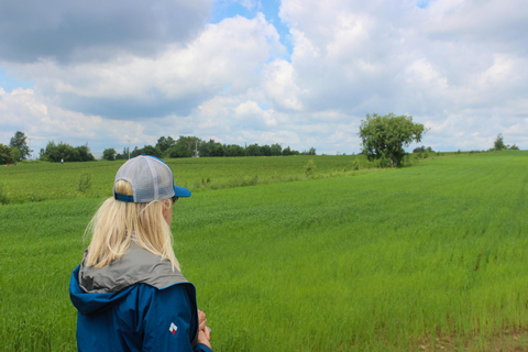 Quebec City - Agricultural Walking Tour on Ile d&#039;OrléansAgricultural Walking Tours - Unique Flavor of the Island