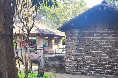 Tour of La Aurora Zoo, Historic Center, and Ciudad Cayalá in Guatemala