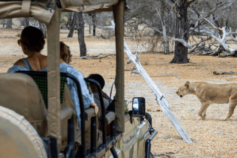 Daressalam: 5-tägige Safari im Süden