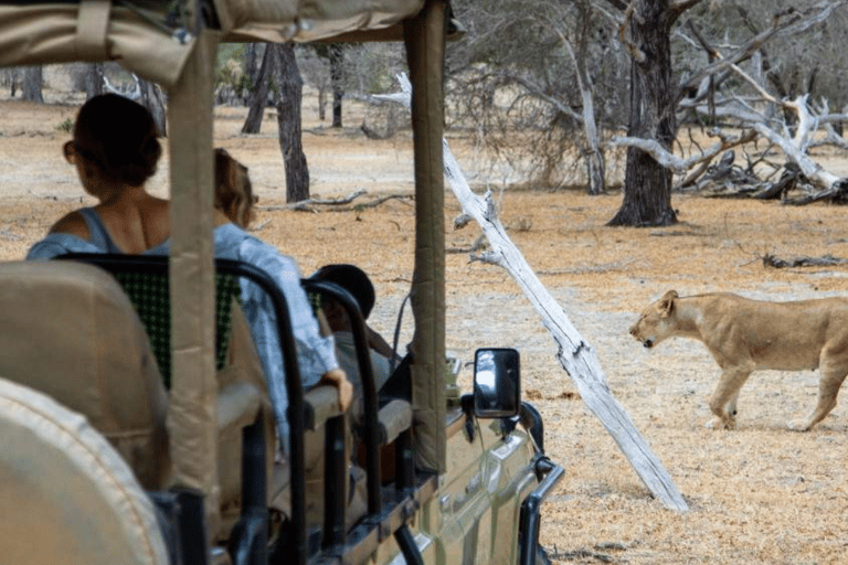 Daressalam: 5-tägige Safari im Süden