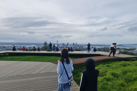 Auckland Stad Hoogtepunten Dagvullende Tour