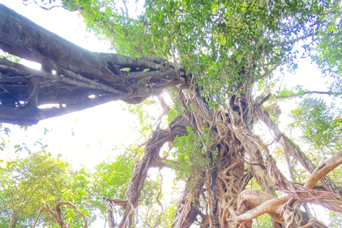 From HCMC: Cat Tien Jungle, Morning & Night safari included Group trip (from 2-5)