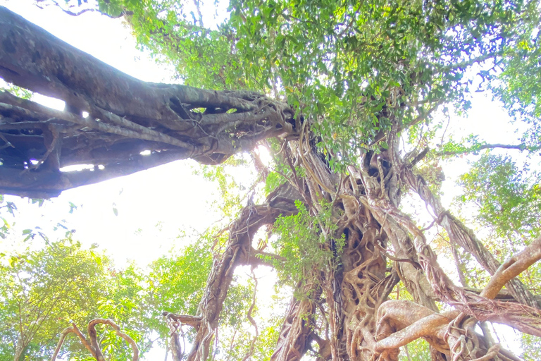 From HCMC: Cat Tien Jungle, Morning & Night safari included Group trip (from 2-5)