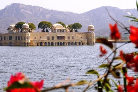 Jaipur: Half or Full-Day Sightseeing Tour with Guide+ Pickup Full Day Sightseeing Tour by Tuk- Tuk with Driver+ Pickup