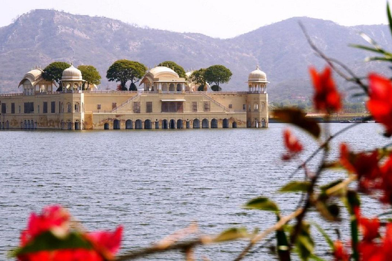 Jaipur: Half or Full-Day Sightseeing Tour with Guide+ Pickup Full Day Sightseeing Tour by Tuk- Tuk with Driver+ Pickup