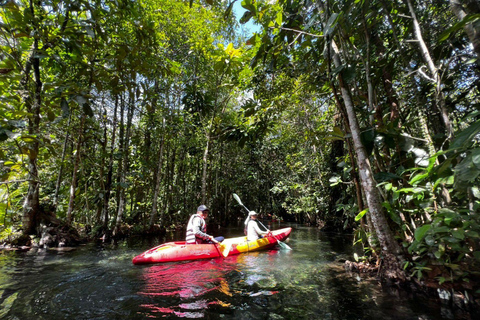 Kajakpaddling i Klong Rud med transfer till hotellet