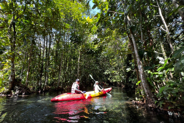 Kajakpaddling i Klong Rud med transfer till hotellet