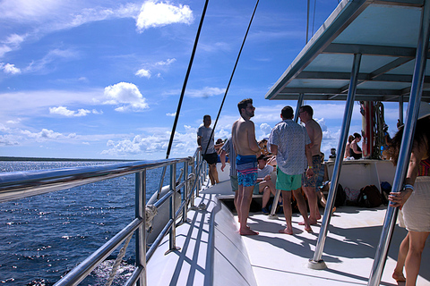 Saona Island Day Tour from Punta Cana, Pool & Beach