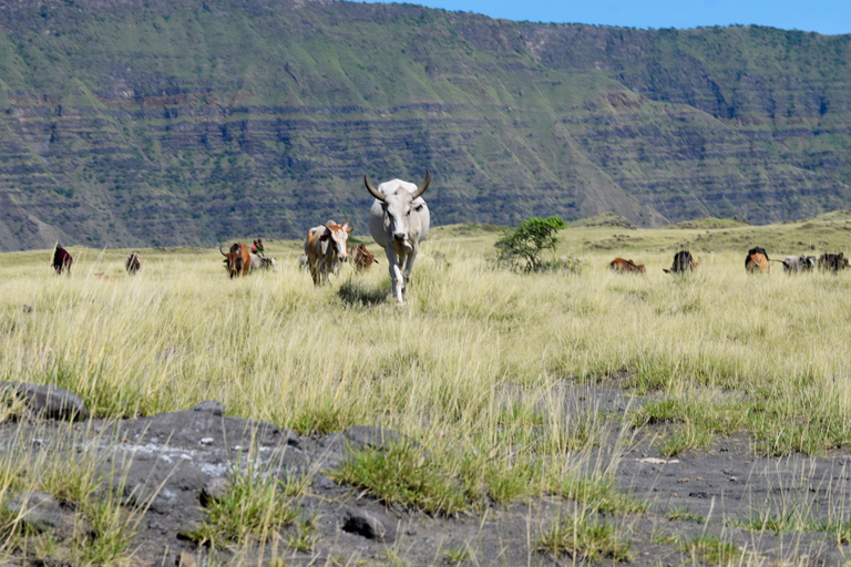 Arusha: Lake Natron Day Trip (Lake Walk &amp; Waterfall Hike)