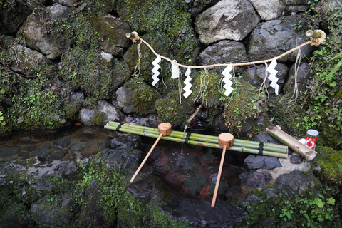 Kyoto Customisable Private Tour with a Local Guide