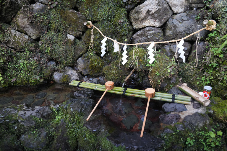 Kyoto Customisable Private Tour with a Local Guide