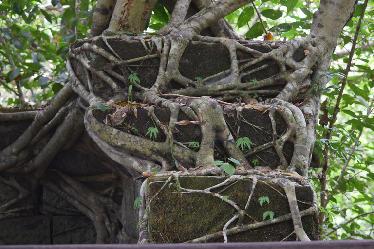 Prasat Thom, Koh Ker Group &amp; Beng Mealea DagsutflyktHeldagstur till Prasat Thom, Koh Ker Group och Beng Mealea