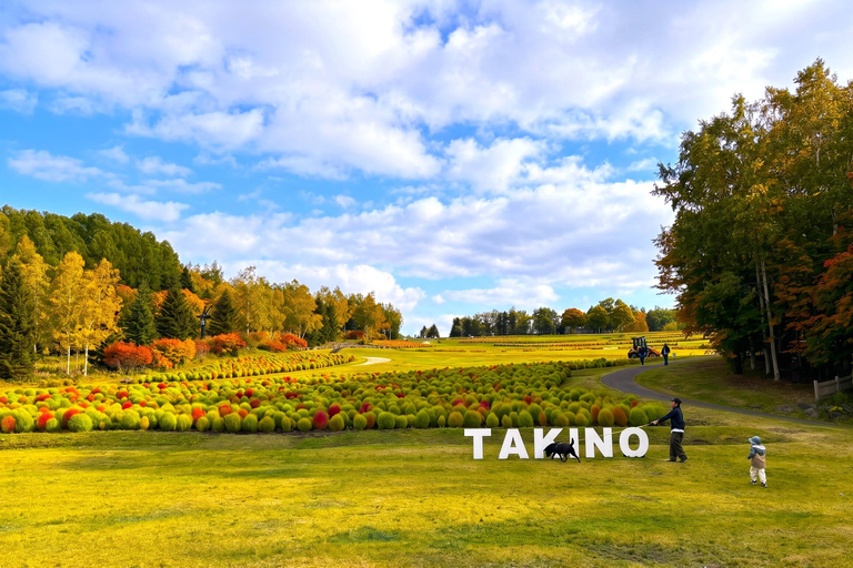 From Sapporo: Hoheikyo Dam, Jozankei & Lake Shikotsu Tour Shared Tour, Meet at Sapporo Station