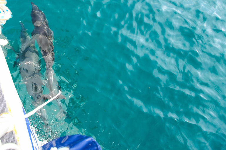 Phuket Dolphin Quest: Racha &amp; Maiton Island Expedition