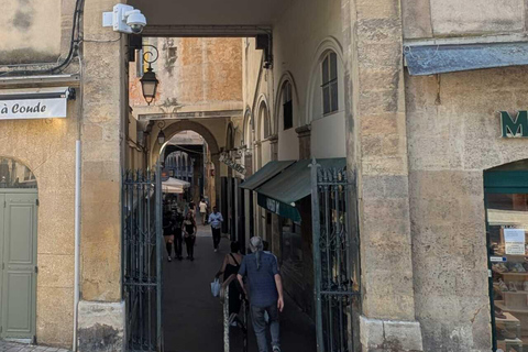 Aix-en-Provence: walking tour of historic fountains and alleyways