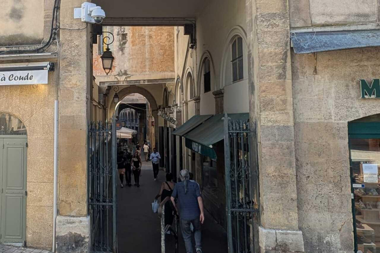 Aix-en-Provence: walking tour of historic fountains and alleyways