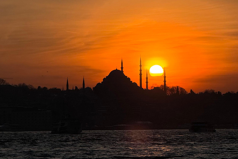 Bosphore d'Istanbul : croisière de 3 heures avec arrêt dans la partie asiatiqueBosphore : croisière guidée de 3 heures (sans repas)