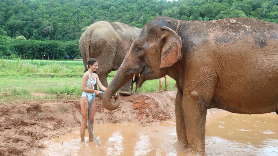 Give Back to the Environment with Elephant Pants from Thailand