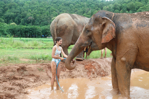 Chiang Mai: 2-dagars djungelvandring med elefantfarm och forsränning