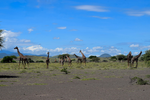 Arusha: Lake Natron Day Trip (Lake Walk &amp; Waterfall Hike)