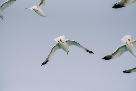 Lanzarote : Billet pour le Waterbus de Playa Blanca à Marina RubicónLanzarote : Marina Rubicón à Playa Blanca Waterbus aller simple