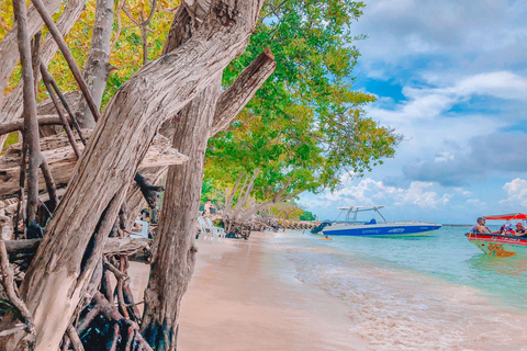 Carthagène : excursion de 4 îles + Plancton + DéjeunerCarthagène : excursion d'une journée sur 4 îles + Plancton + Déjeuner