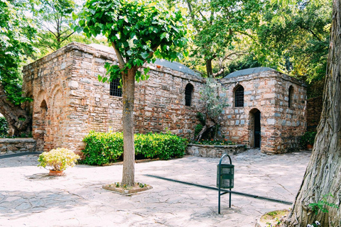 Smirne: tour per gruppi piccoli a Efeso con pranzoSmirne: tour per gruppi piccoli di Efeso con pranzo