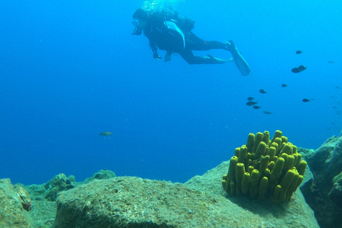 Santorini: Experiencia de submarinismo en la Caldera VolcánicaBuceo