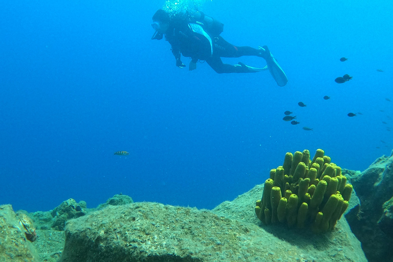 Santorini: Experiencia de submarinismo en la Caldera VolcánicaBuceo