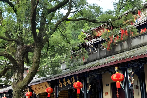 Dujiangyan: Mount Qingcheng Ticket