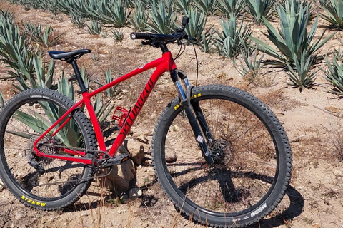 Mitla: Fahrradtour zur archäologischen Zone und zu Höhlen mit Felskunst