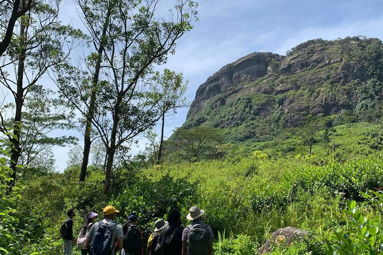 Kandy: Hidden Highlands Nature Walk