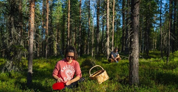 Tastes of the Arctic: Berry picking and Foraging Tour
