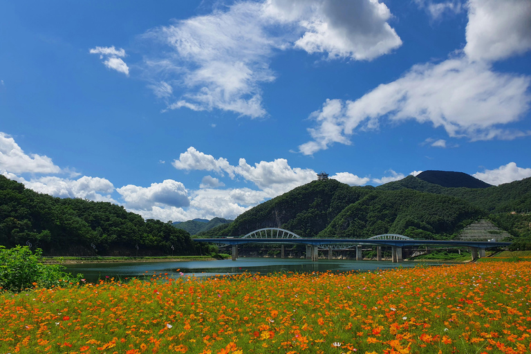 Seoul: tour di 2 giorni a Danyang con pick-up all&#039;aeroporto di IncheonHotel or airport pickup 1-night, 2-day UNESCO- Danyang tour