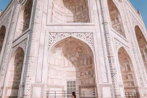 Da Delhi: tour privato di lusso al Taj Mahal e ad Agra + 5★ pranziTour con auto climatizzata, autista, guida turistica e biglietti d&#039;ingresso