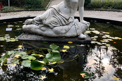 تبليسي: الشلالات والتلفريك وفرص التقاط الصور الخلابةتبليسي: شلالات وتلفريك وفرص لالتقاط صور خلابة