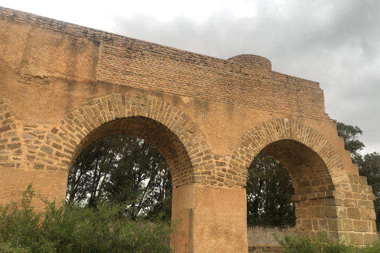 From Tunis: Bardo Museum, Oudhna & Aqueduct Private Tour