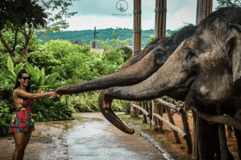 Save up to 20% | Phuket Pass | 5 out of 10+ Attractions