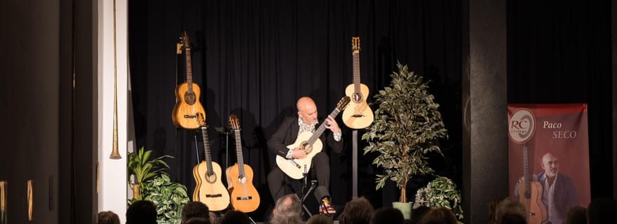 Ronda : Espagnol - Classique et Flamenco - Concert de guitare