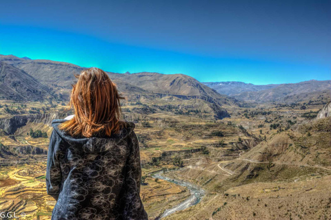 Precio Oferta: Cañón del Colca Un Día en Arequipa con Desayuno