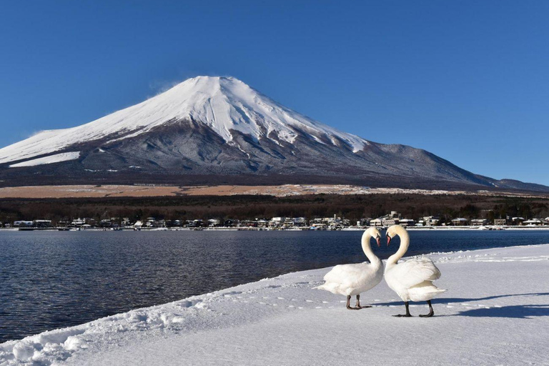 Mt Fuji Private Luxury Full-Day Tour with customization