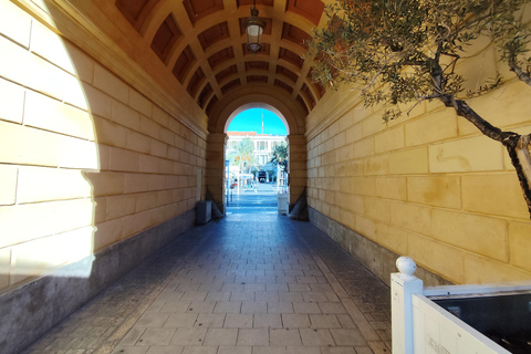 Nizza: tour della città in famiglia in bicicletta Taxi elettrico (4 posti)