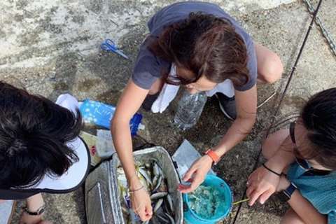 Kanazawa: Fishing Experience with Gyotaku and Cooking