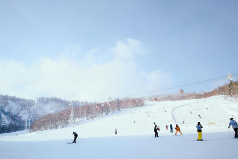 Hokkaido: Dagtrip naar het skigebied Sapporo met opties voor uitrustingReis met ski&#039;s, stokken en schoenen