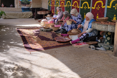 Marrakech: Ourika Valley, Waterfalls Private Trip with Lunch