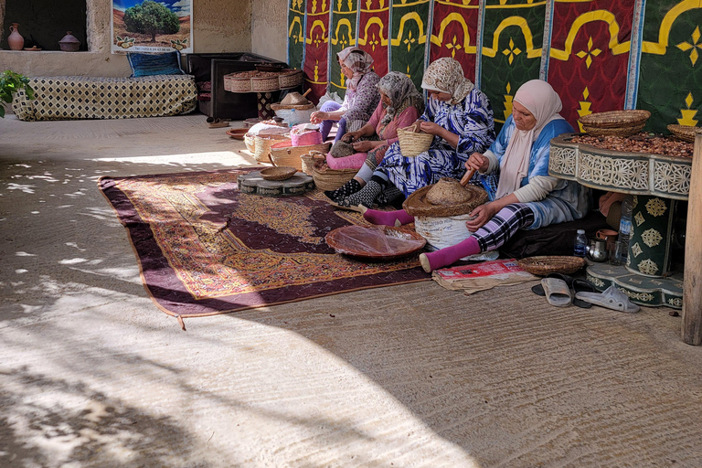 Marrakech: Ourika Valley, Waterfalls Private Trip with Lunch