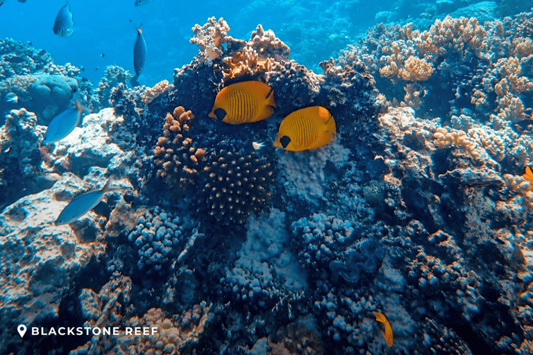 Puerto Princesa: 3-Day Port Barton & Island Hopping Tour